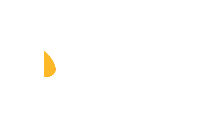 Palit logo