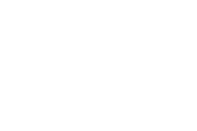 PNY logo