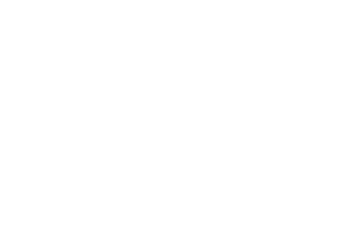 MSI logo